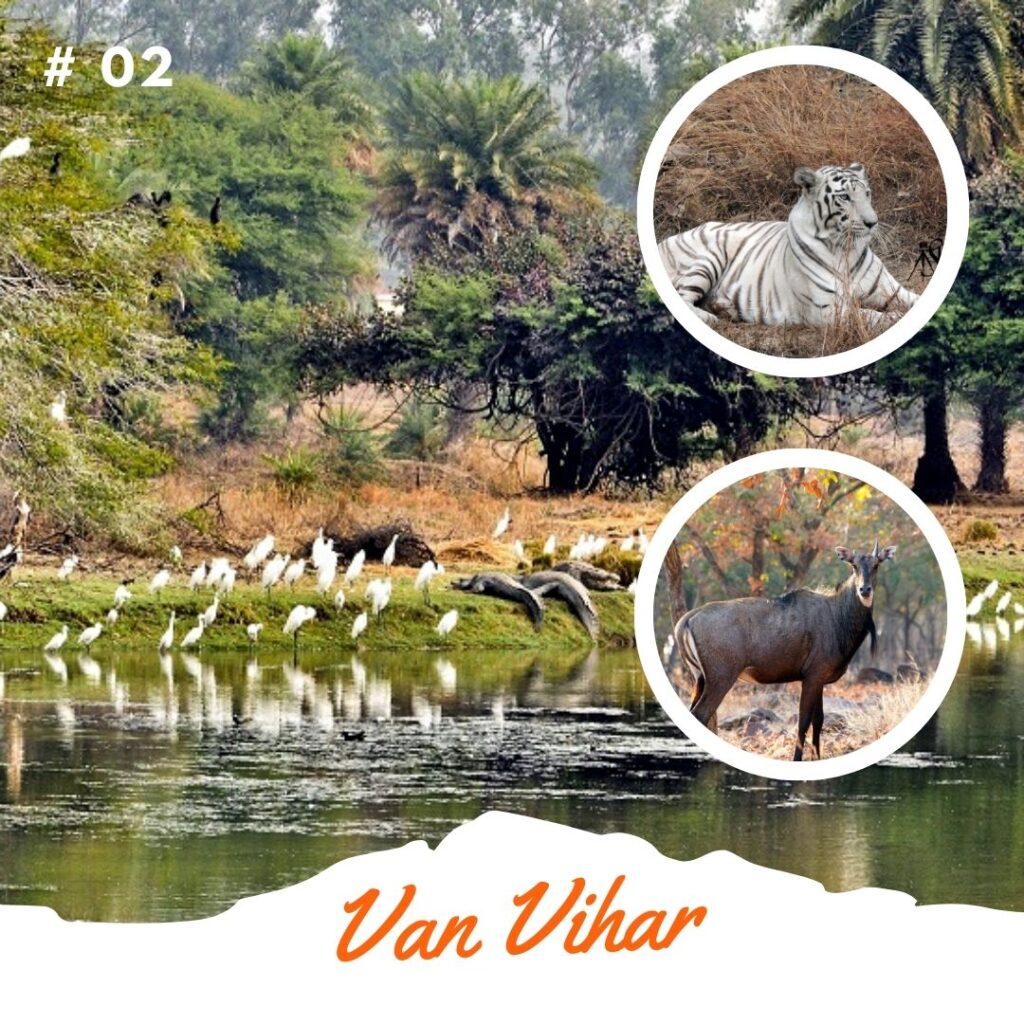 10 best Places Bhopal - Van Vihar