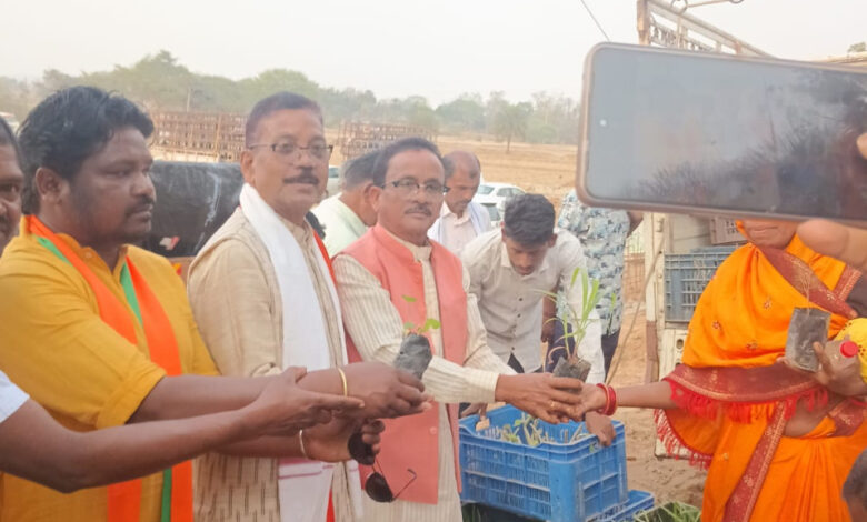 मुख्यमंत्री साय के जन्मदिवस पर पादप बोर्ड द्वारा 2100 औषधीय पौधों का वितरण…. मुख्यमंत्री साय के जन्मदिवस पर पादप बोर्ड द्वारा 2100 औषधीय पौधों का वितरण….