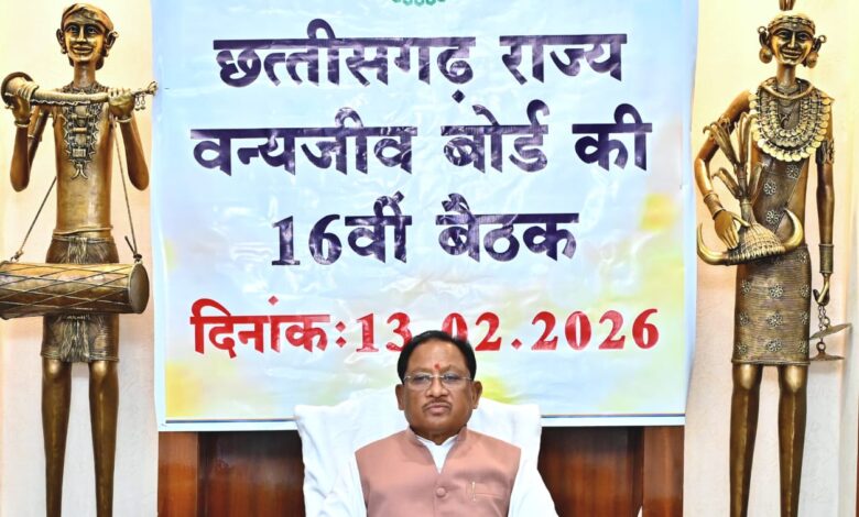 वन्यजीवों के प्राकृतिक आवास की सुरक्षा और सह-अस्तित्व के सिद्धांतों के अनुरूप हो सभी गतिविधियों का संचालन : मुख्यमंत्री विष्णु देव साय…..