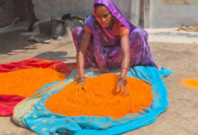 हर्बल गुलाल से और भी रंगीली होगी होली: विभिन्न रंगों और आकर्षक पैकेजिंग के साथ समूह द्वारा निर्मित हर्बल गुलाल….