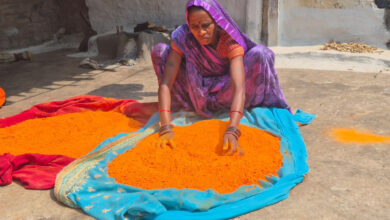 हर्बल गुलाल से और भी रंगीली होगी होली: विभिन्न रंगों और आकर्षक पैकेजिंग के साथ समूह द्वारा निर्मित हर्बल गुलाल….