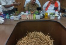 बस्तर और सरगुजा में औषधीय पौधों की योजनाओं का होगा विस्तार : विकास मरकाम….