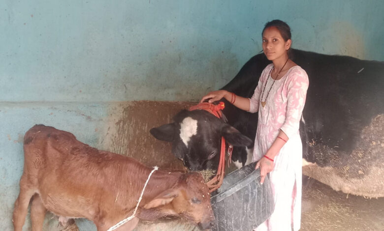 मेडिकल लैब से माटी तक, आरती ने पशुधन से लिखी सफलता की नई कहानी, अच्छी नौकरी छोड़ गांव में रचा आत्मनिर्भरता का मॉडल….