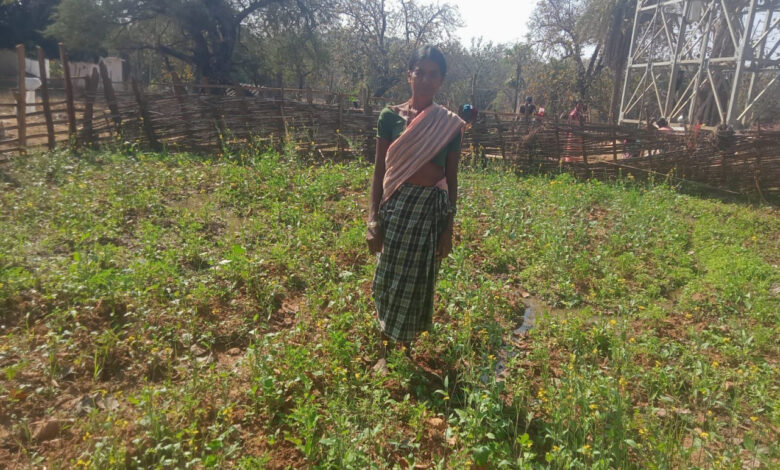 महतारी वंदन योजना से बदली जिंदगी की तस्वीर : श्रीमती सुखी पुनेम बनीं आत्मनिर्भरता और पोषण की मिसाल….