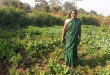 मुख्यमंत्री विष्णु देव साय के सुशासन में महिलाओं को मिला आत्मनिर्भरता का संबल, बालोद की रोहनी बनीं उद्यमिता की मिसाल….