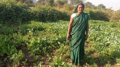 मुख्यमंत्री विष्णु देव साय के सुशासन में महिलाओं को मिला आत्मनिर्भरता का संबल, बालोद की रोहनी बनीं उद्यमिता की मिसाल….