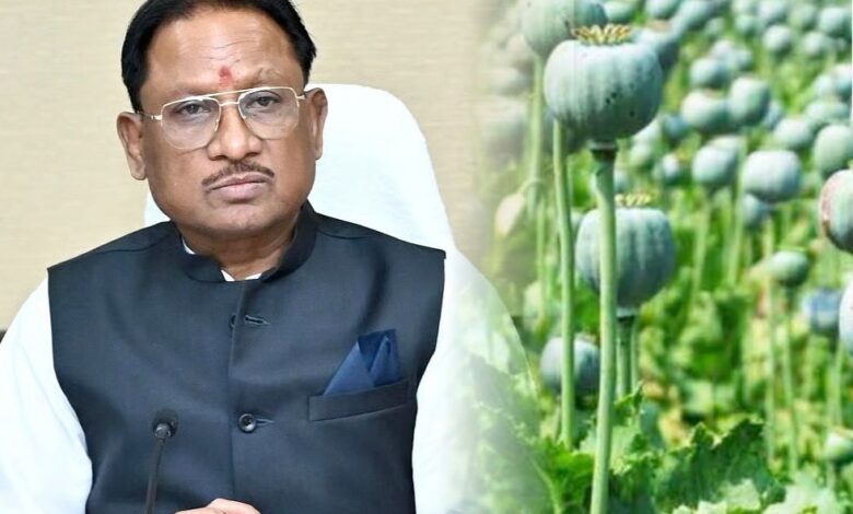 अफीम की अवैध खेती पर मुख्यमंत्री विष्णु देव साय का कड़ा रुख, सभी कलेक्टरों को सर्वे कर 15 दिवस में प्रमाण पत्र सहित रिपोर्ट देने के निर्देश….