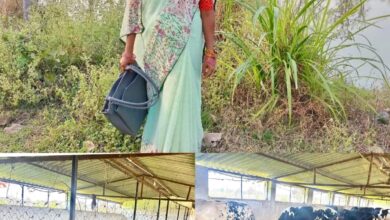 मछली पालन से बदली लक्ष्मी की जिंदगी, सढ़ौली की लक्ष्मी ठाकुर बनी आर्थिक सशक्तिकरण की मिसाल…. मछली पालन से बदली लक्ष्मी की जिंदगी, सढ़ौली की लक्ष्मी ठाकुर बनी आर्थिक सशक्तिकरण की मिसाल….