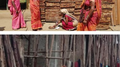 सेंट्रिंग प्लेट के व्यवसाय से बढ़ा महिलाओं में आत्मविश्वास और आय: ‘बिहान’ से सशक्त हो रहीं धमतरी जिले की ग्रामीण महिलाएं….