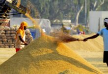 किसानों के सम्मान और पारदर्शी डिजिटल प्रणाली से सफल हुआ धान खरीदी का महाअभियान: खाद्य मंत्री बघेल….