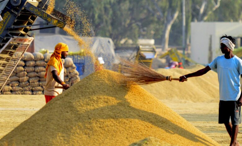 किसानों के सम्मान और पारदर्शी डिजिटल प्रणाली से सफल हुआ धान खरीदी का महाअभियान: खाद्य मंत्री बघेल….