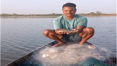 स्वतंत्रता संग्राम सेनानी मछुआ सहकारी समिति के सदस्यों को मिला आजीविका का सहारा, 96 हेक्टेयर जलक्षेत्र में मछली पालन से कमा रहे 01 लाख 50 हजार रूपए…..