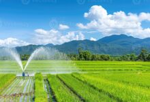 किकिरगेटा उद्वहन सिंचाई योजना हेतु 30.68 करोड़ की पुनरीक्षित स्वीकृति….