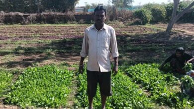 डबरी बनी स्थायी आजीविका का आधार : जल संरक्षण के साथ बढ़ी आय….