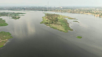 कोरबा की जीवनदायिनी को मिलेगा ’अमृत’: 165 करोड़ से संवरेगी हसदेव की धारा….