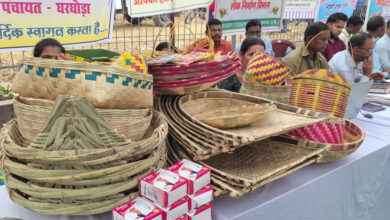 आत्मनिर्भरता की मिसाल बनीं ग्रामीण महिलाएं, गृह उद्योग और हस्तशिल्प से संवर रहा भविष्य…..