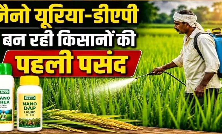 नैनो यूरिया और नैनो डीएपी से कम लागत में ज्यादा उत्पादन, नैनो उर्वरकों का संतुलित उपयोग मिट्टी में पोषक तत्वों को बनाए रखने में करता है मदद – किसान भूषण साहू….. नैनो यूरिया और नैनो डीएपी से कम लागत में ज्यादा उत्पादन, नैनो उर्वरकों का संतुलित उपयोग मिट्टी में पोषक तत्वों को बनाए रखने में करता है मदद – किसान भूषण साहू…..