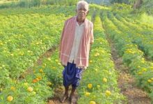 धान छोड़ फूलों की खेती ने बदली आनंदराम की तकदीर, 22 हजार के बदले कमाए 3 लाख रुपए, गेंदा उत्पादन से कोड़केल के किसान ने पेश की सफलता की मिसाल…..