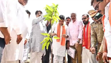 एक पेड़ मां के नाम” अभियान के तहत प्रभारी मंत्री टंकराम वर्मा ने किया पौधारोपण……