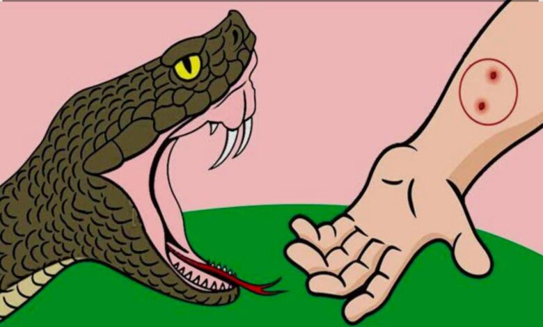 वर्षा ऋतु में सर्पदंश से सतर्क रहें: स्वास्थ्य विभाग बेमेतरा की अपील वर्षा ऋतु में सर्पदंश से सतर्क रहें: स्वास्थ्य विभाग बेमेतरा की अपील